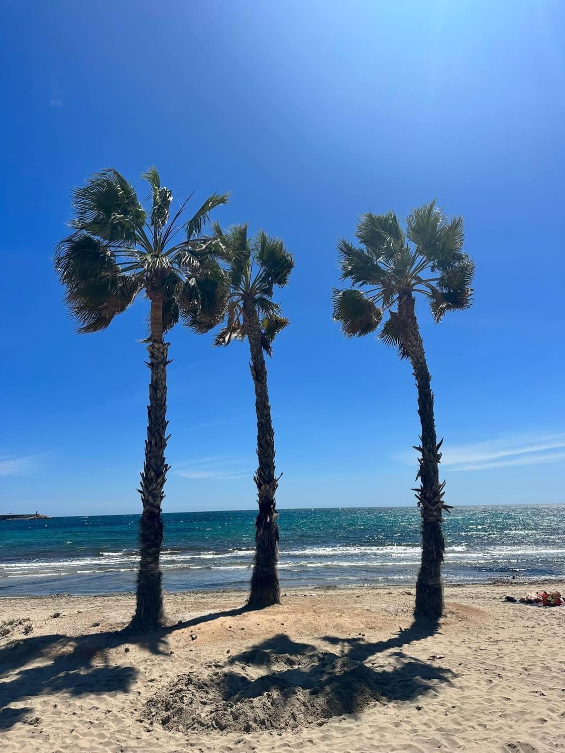 Apartment Theo Beach サン・ペドロ・デル・ピナタル エクステリア 写真